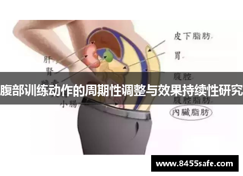 腹部训练动作的周期性调整与效果持续性研究