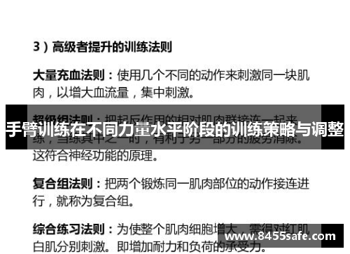 手臂训练在不同力量水平阶段的训练策略与调整