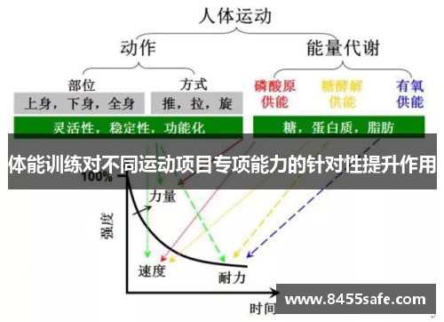 体能训练对不同运动项目专项能力的针对性提升作用